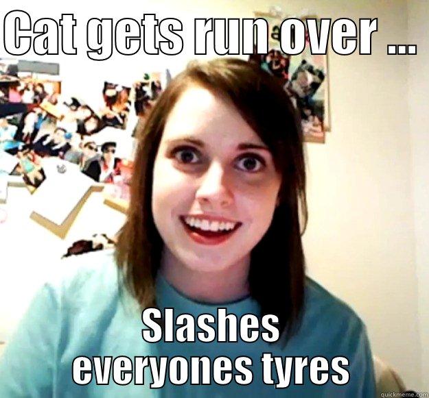 CAT GETS RUN OVER ...  SLASHES EVERYONES TYRES Overly Attached Girlfriend