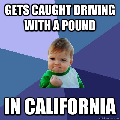 gets caught driving with a pound In california  Success Kid