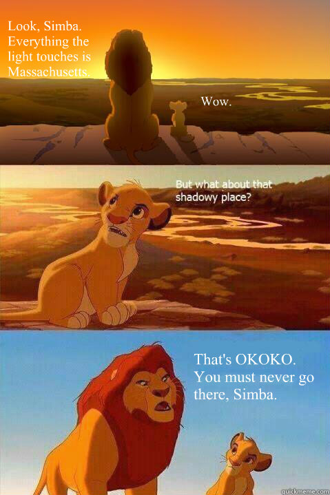 Look, Simba. Everything the light touches is Massachusetts. Wow. That's OKOKO. You must never go there, Simba.   Lion King Shadowy Place