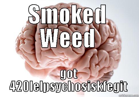 SMOKED WEED GOT 420LELPSYCHOSISKFEGIT Scumbag Brain