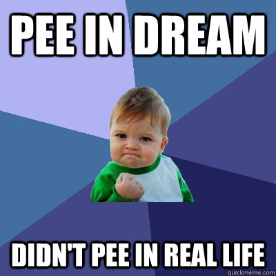 Pee in dream Didn't pee in real life  Success Kid