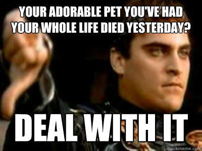 Your adorable pet you've had your whole life died yesterday? deal with it  