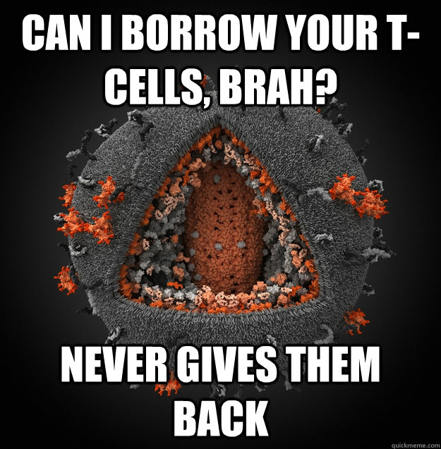 can I borrow your t-cells, brah? never gives them back  Scumbag AIDS