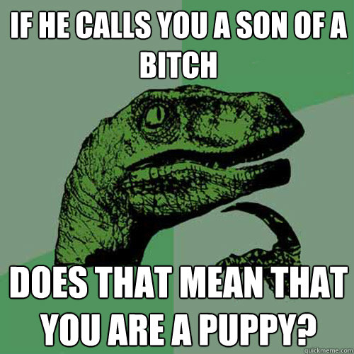 If he calls you a son of a bitch does that mean that you are a puppy?  Philosoraptor