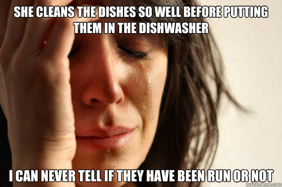 She cleans the dishes so well before putting them in the dishwasher I can never tell if they have been run or not  First World Problems