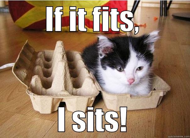 IF IT FITS, I SITS! Misc