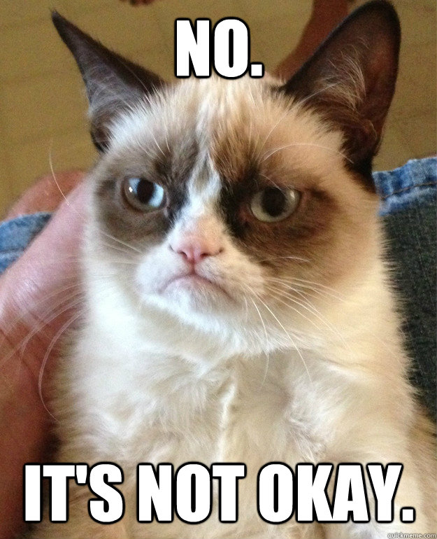 No. It's not okay.  Grumpy Cat