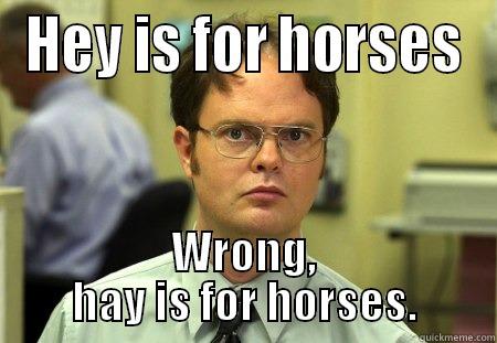 hey, hay - HEY IS FOR HORSES WRONG, HAY IS FOR HORSES. Schrute