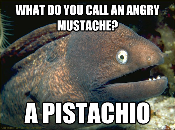 what do you call an angry mustache? a pistachio  Bad Joke Eel