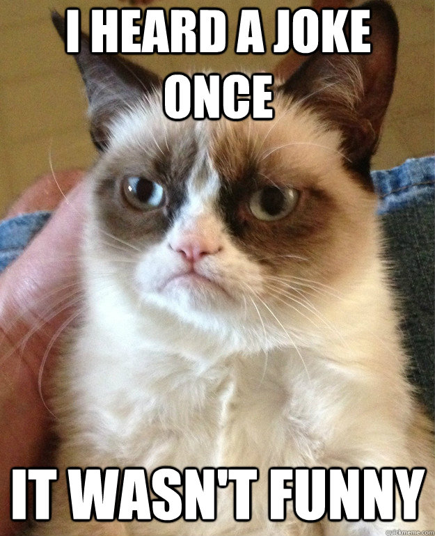 I heard a joke once It wasn't funny  Grumpy Cat