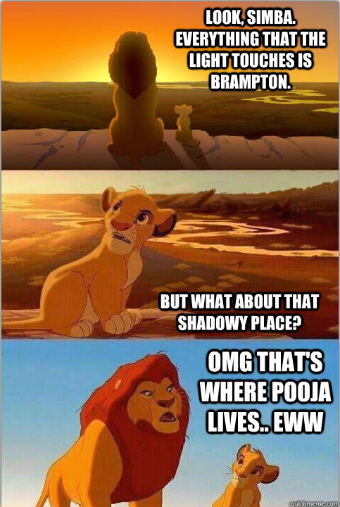 Look, Simba. Everything that the light touches is Brampton. But what about that shadowy place? OMG that's where pooja lives.. eww  