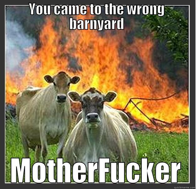 THE cow Invasion - YOU CAME TO THE WRONG BARNYARD MOTHERFUCKER Evil cows