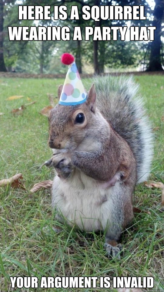 here is a Squirrel wearing a party hat Your argument is invalid - here is a Squirrel wearing a party hat Your argument is invalid  Squirrel wearing a party hat