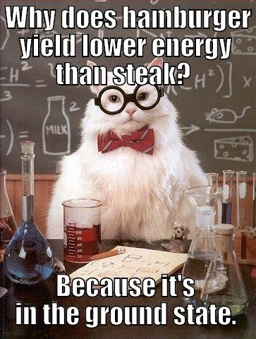  WHY DOES HAMBURGER YIELD LOWER ENERGY THAN STEAK?  BECAUSE IT'S IN THE GROUND STATE. Chemistry Cat