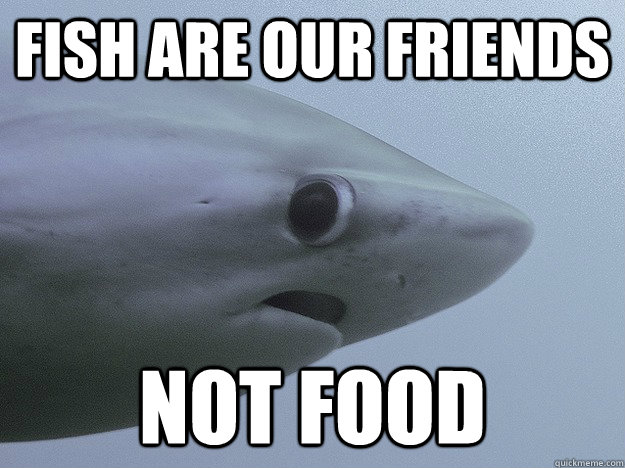 Fish are our friends not food - Fish are our friends not food  Shy Shark