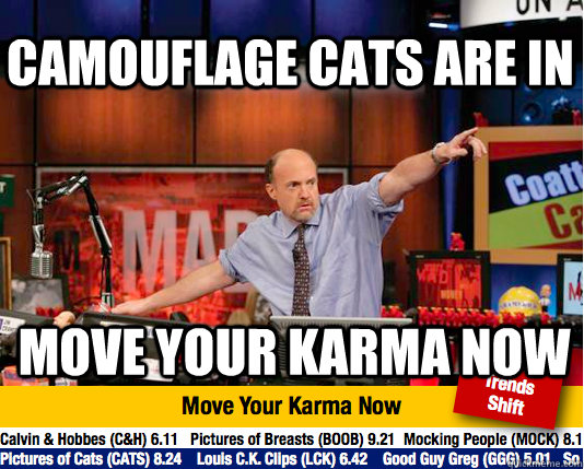 Camouflage cats are in Move your karma now  Mad Karma with Jim Cramer