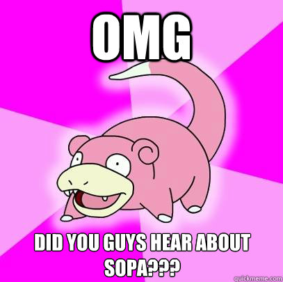 OMG DID YOU GUYS HEAR ABOUT SOPA???  Slowpoke