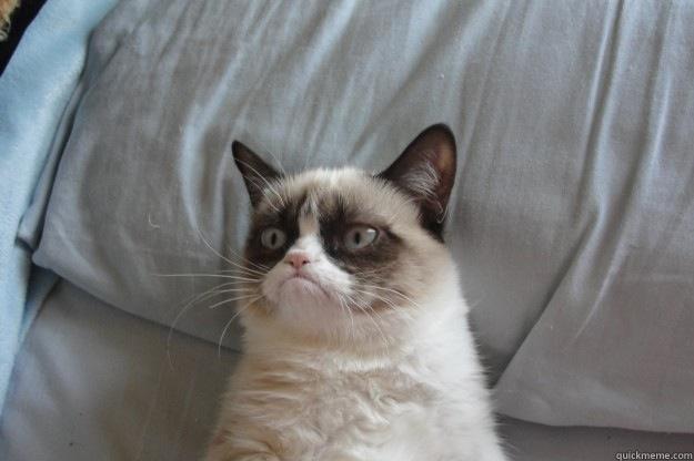 WISH YOU NOT  A HAPPY MONDAY Grumpy Cat