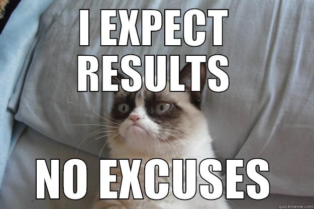 I EXPECT RESULTS NO EXCUSES Grumpy Cat