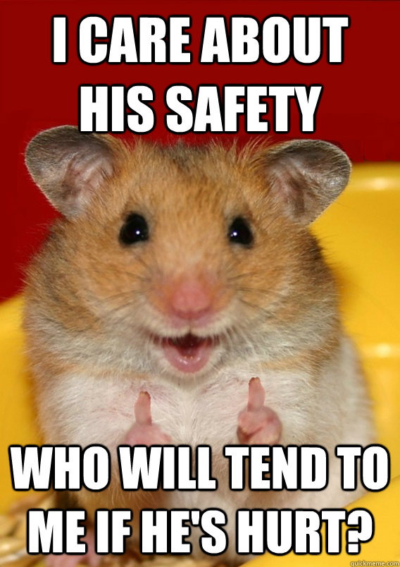 I care about his safety Who will tend to me if he's hurt?  - I care about his safety Who will tend to me if he's hurt?   Rationalization Hamster