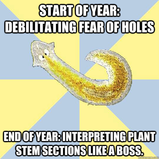 Start of year: debilitating fear of holes  End of year: interpreting plant stem sections like a boss.   Bio Major Planarian