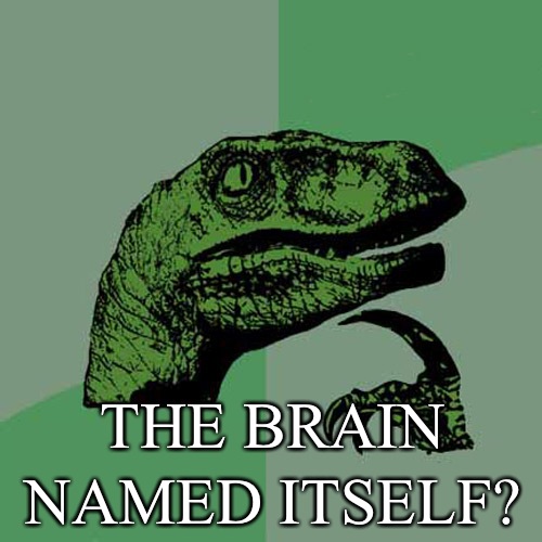  The brain named itself?  Philosoraptor