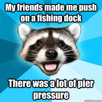 My friends made me push on a fishing dock There was a lot of pier pressure  Lame Pun Coon