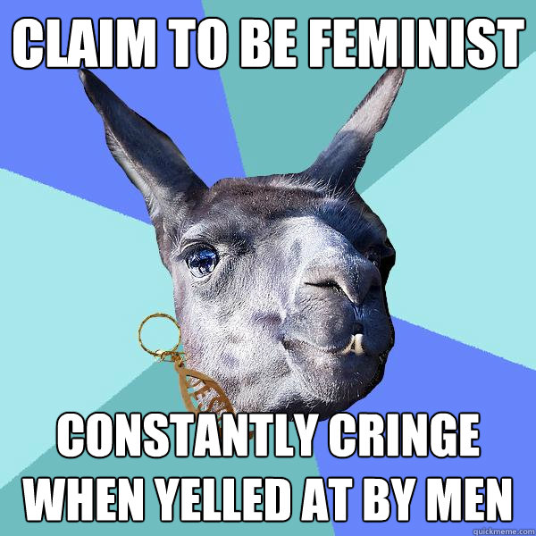 Claim to be feminist Constantly cringe when yelled at by men  Christian Mama Llama