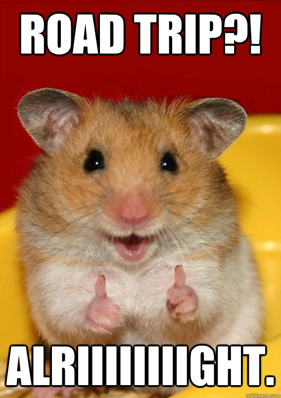 ROAD TRIP?! ALRIIIIIIIIGHT.  - ROAD TRIP?! ALRIIIIIIIIGHT.   Rationalization Hamster