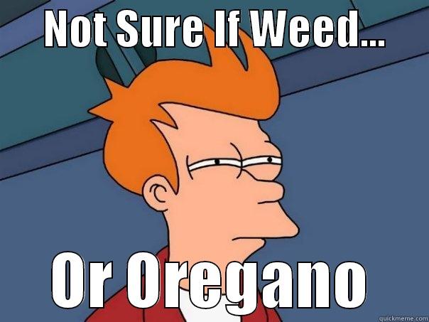      NOT SURE IF WEED...           OR OREGANO     Futurama Fry