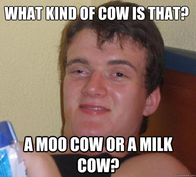 What kind of cow is that? A moo cow or a milk cow?  10 Guy