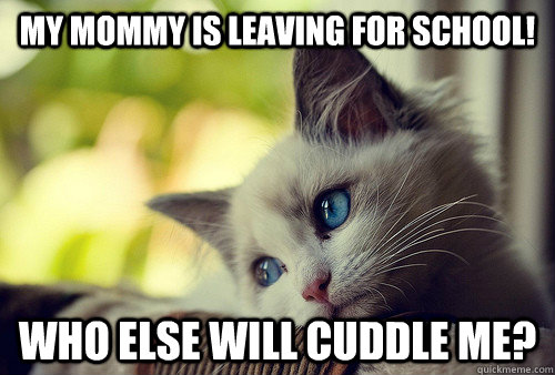 My mommy is leaving for school! Who else will cuddle me?  First World Problems Cat