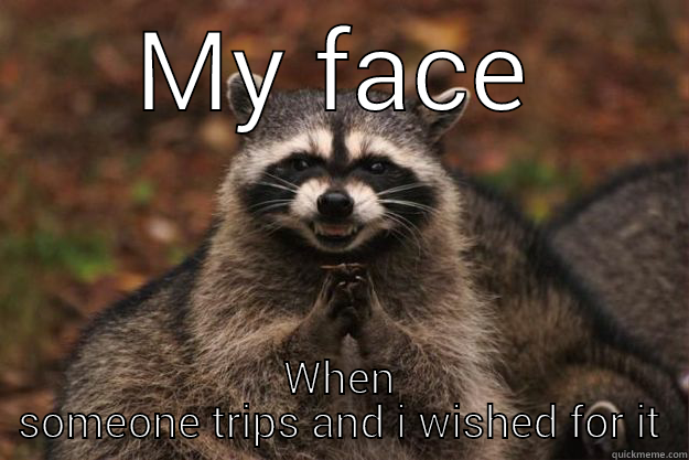 MY FACE WHEN SOMEONE TRIPS AND I WISHED FOR IT Evil Plotting Raccoon