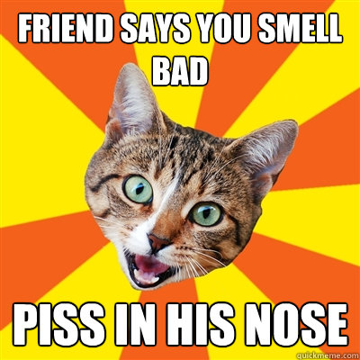 friend says you smell bad piss in his nose  Bad Advice Cat