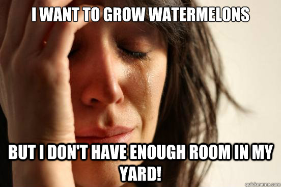 I want to grow watermelons but i don't have enough room in my yard!  First World Problems