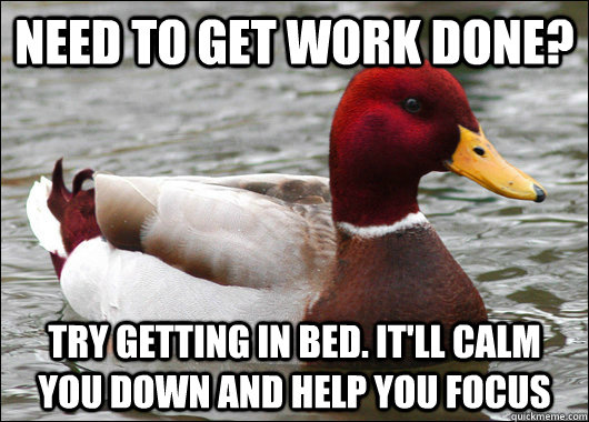 Need to get work done? Try getting in bed. It'll calm you down and help you focus   Malicious Advice Mallard