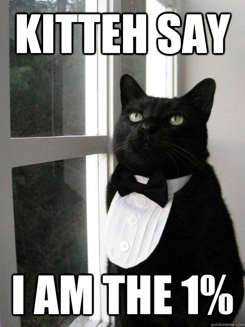 Kitteh Say I Am the 1%  One Percent Cat