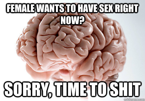 fEMALE WANTS TO HAVE SEX RIGHT NOW? SORRY, TIME TO SHIT - fEMALE WANTS TO HAVE SEX RIGHT NOW? SORRY, TIME TO SHIT  Scumbag Brain