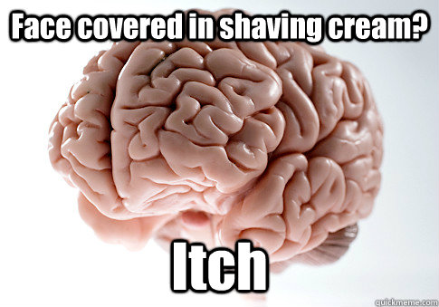 Face covered in shaving cream? Itch  Scumbag Brain