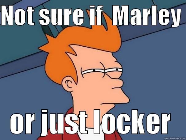 NOT SURE IF  MARLEY  OR JUST LOCKER Futurama Fry