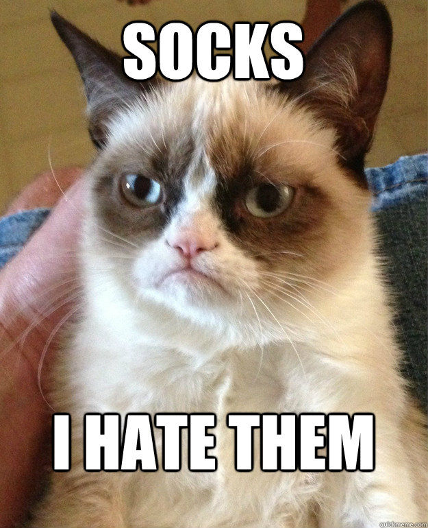 SOCKS I HATE THEM  Grumpy Cat