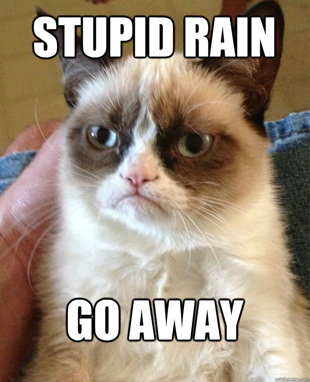 stupid rain go away  Grumpy Cat