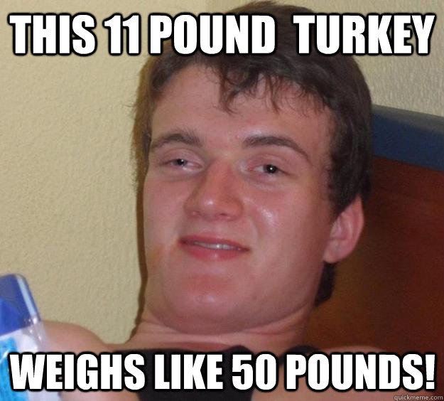 this 11 pound  turkey  weighs like 50 pounds! - this 11 pound  turkey  weighs like 50 pounds!  10 Guy