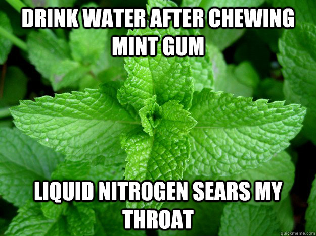 drink water after chewing mint gum Liquid Nitrogen sears my throat  Scumbag Mint