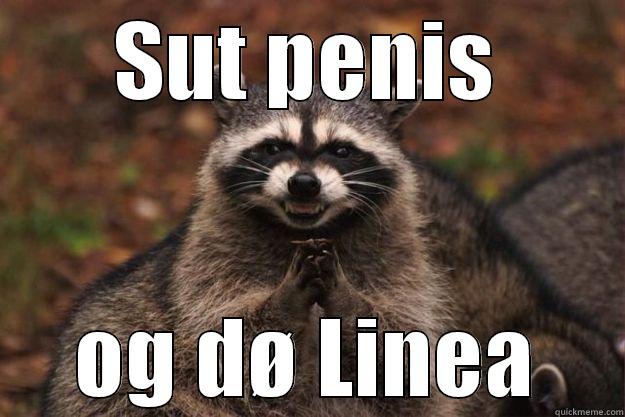 SUT PENIS OG DØ LINEA Evil Plotting Raccoon