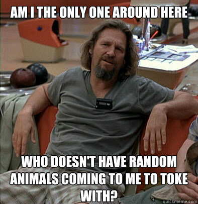 Am I the only one around here Who doesn't have random animals coming to me to toke with? - Am I the only one around here Who doesn't have random animals coming to me to toke with?  The Dude