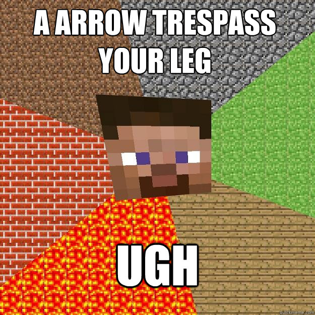 A arrow trespass your leg UGH  Minecraft