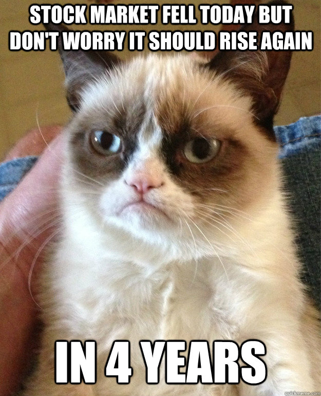 Stock market fell today but don't worry it should rise again IN 4 YEARS  Grumpy Cat