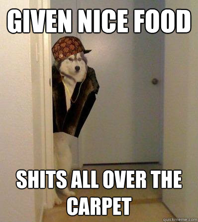 GIVEN NICE FOOD SHITS ALL OVER THE CARPET  Scumbag dog