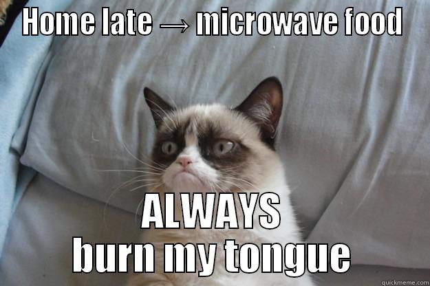 @!@#$%$ damn food - HOME LATE → MICROWAVE FOOD ALWAYS BURN MY TONGUE Grumpy Cat